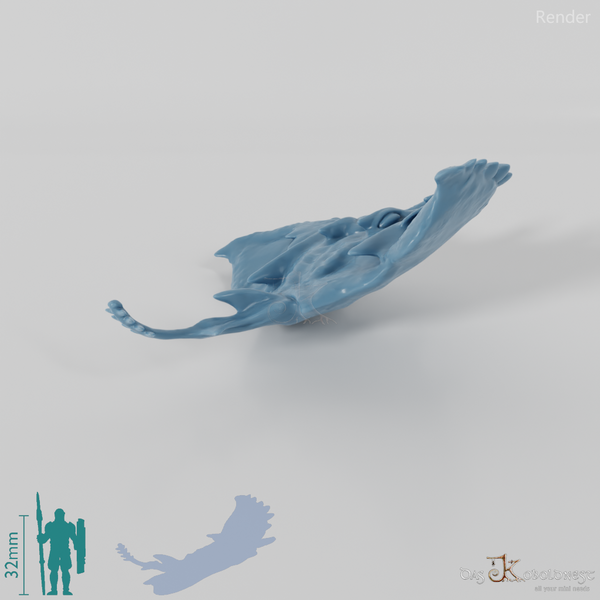 Rochen - Großer Rochen