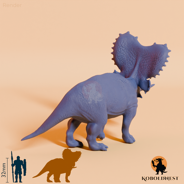 Mercuriceratops gemini 03