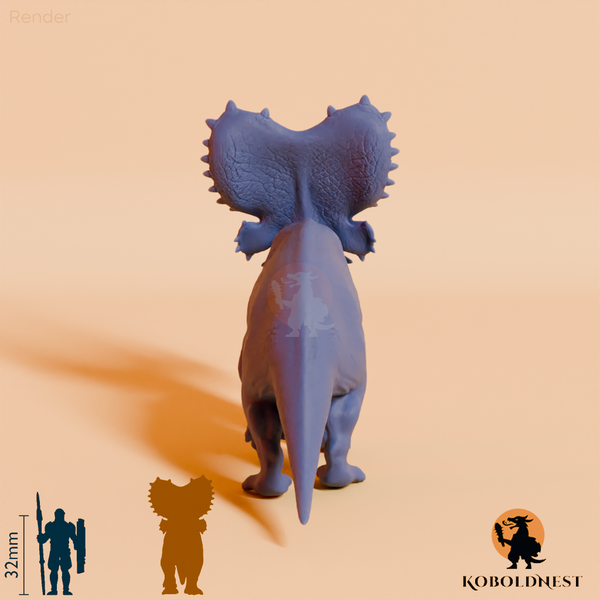 Mercuriceratops gemini 05