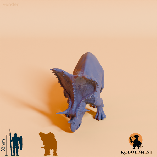 Mercuriceratops gemini 06