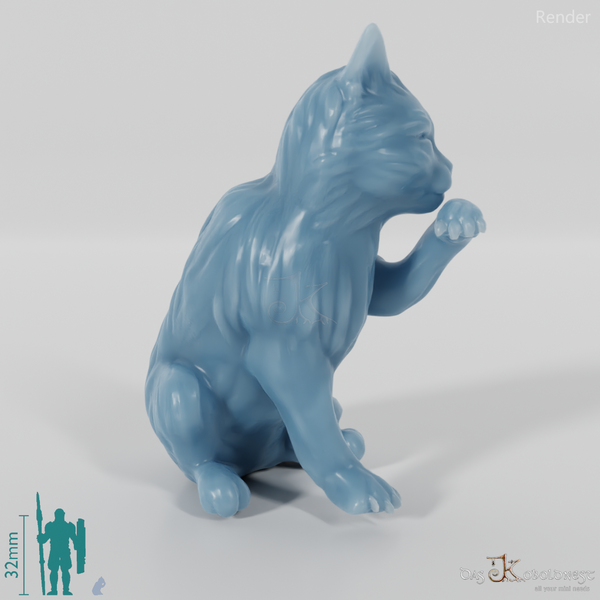 Cat - Midnight, sitting cat