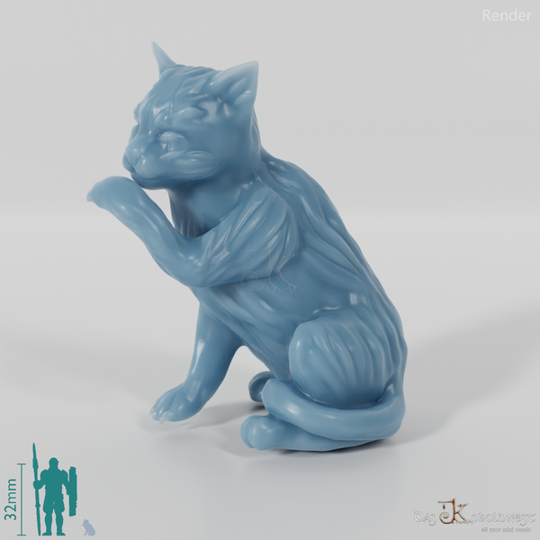 Cat - Midnight, sitting cat