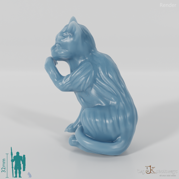 Cat - Midnight, sitting cat