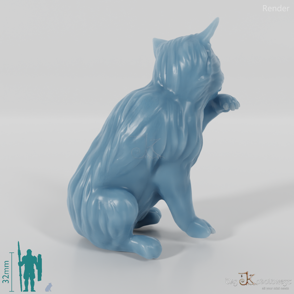 Cat - Midnight, sitting cat