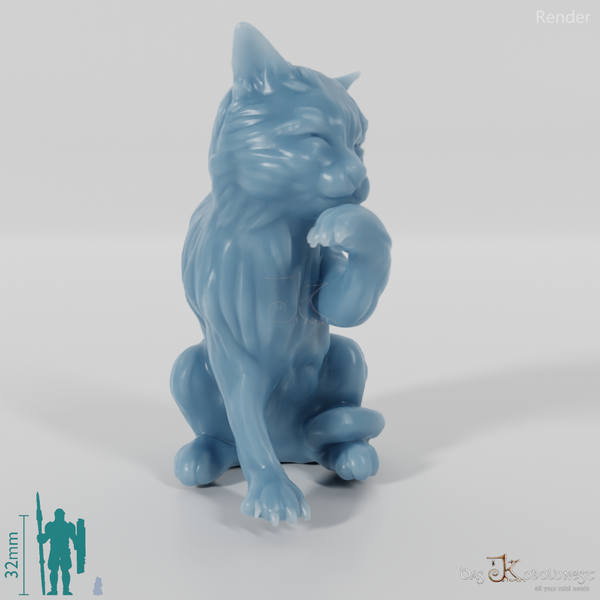 Cat - Midnight, sitting cat