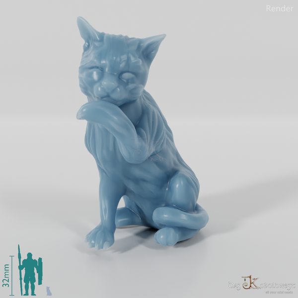 Cat - Midnight, sitting cat