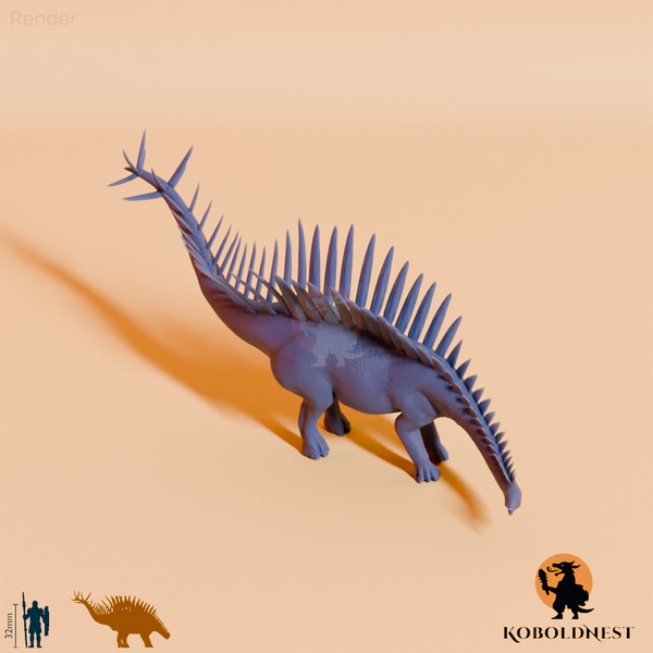 Miragaia longicollum 04 - JJP