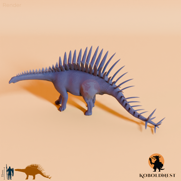 Miragaia longicollum 06 - JJP