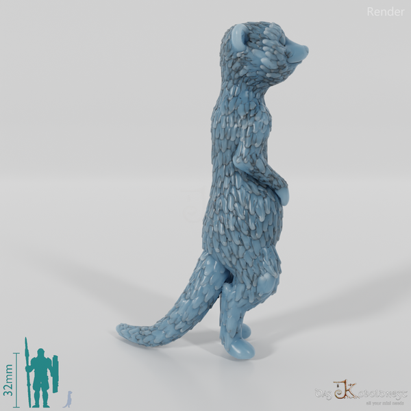 Meerkat 01
