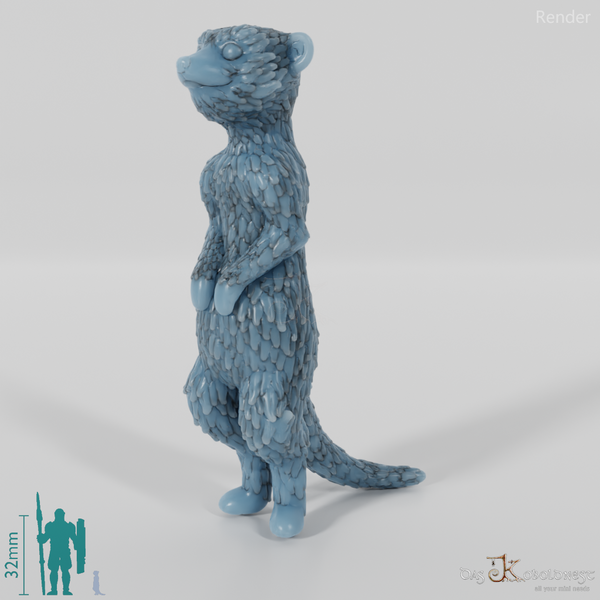 Meerkat 01