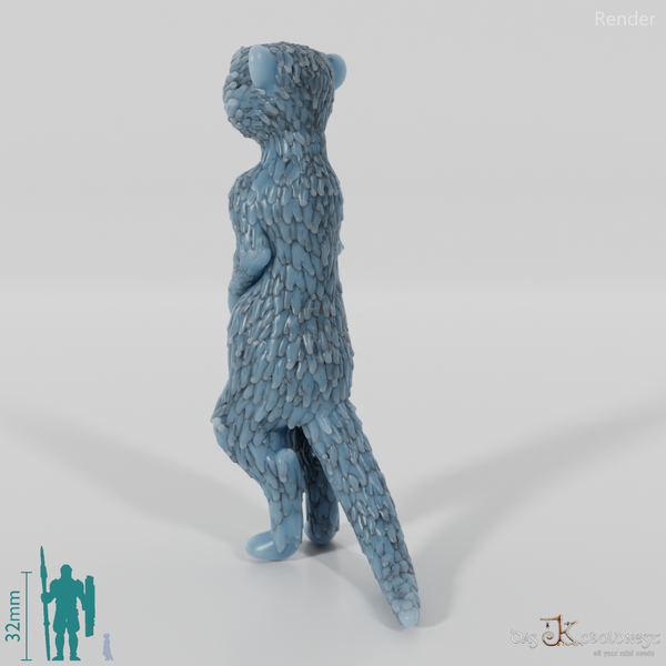 Meerkat 01