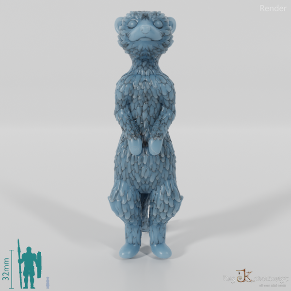 Meerkat 01