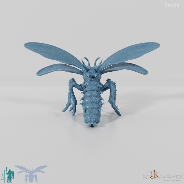 Insect - giant mosquito