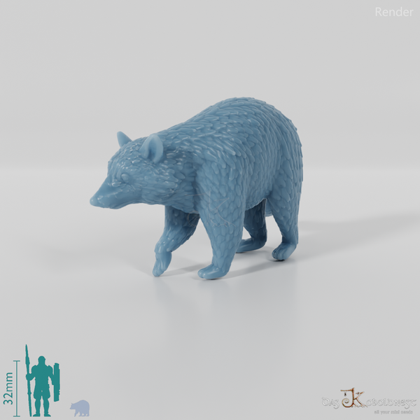 Raccoon - Raccoon 02