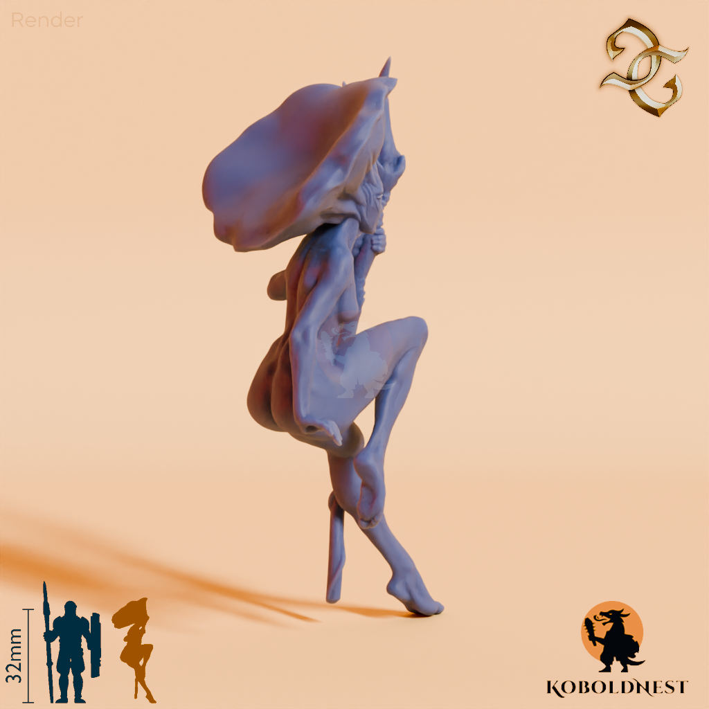 Mycelia, Mushroomfolk Shaman