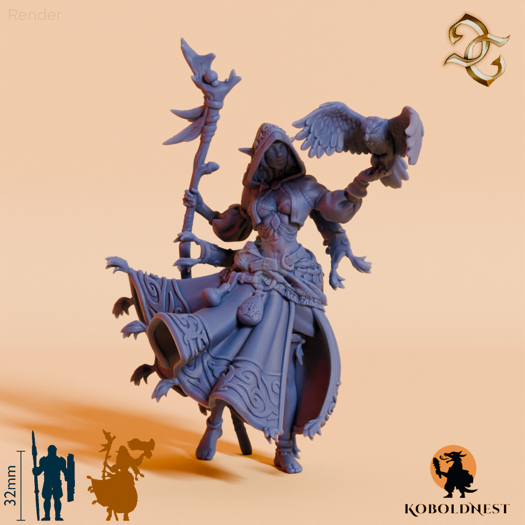 Naranye-Twiceborn-Elvish-Druid_RenderOnly_Unbased_render_80pitch_0deg.png