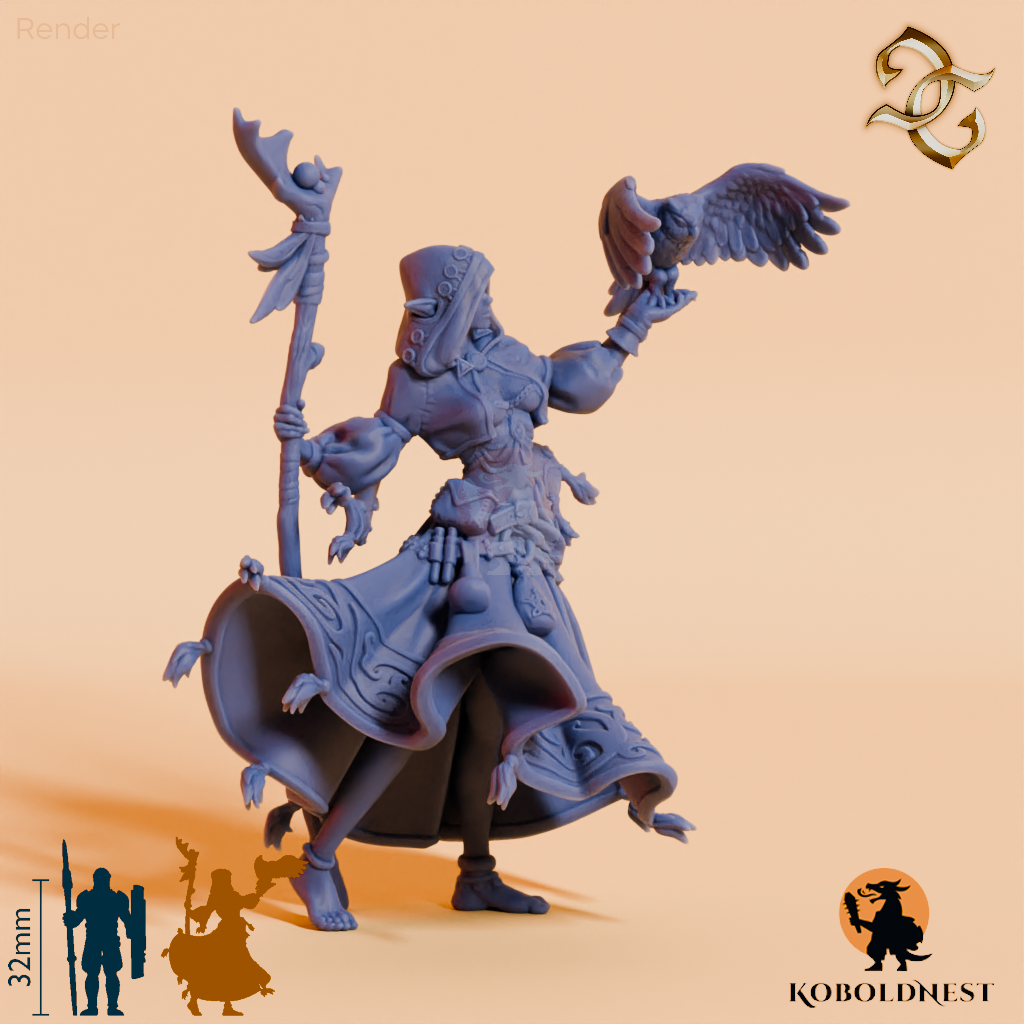 Naranye-Twiceborn-Elvish-Druid_RenderOnly_Unbased_render_80pitch_60deg.png