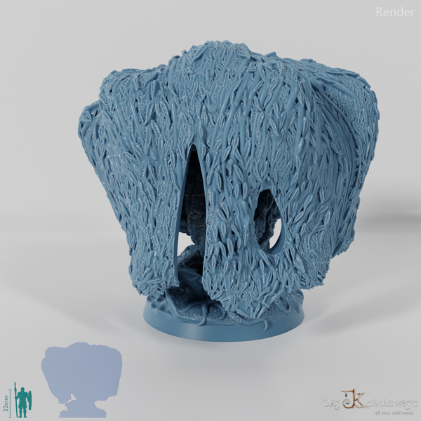 The old white willow