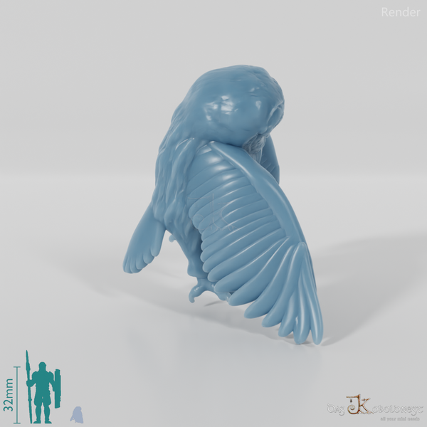 Eule - Schleiereule 01