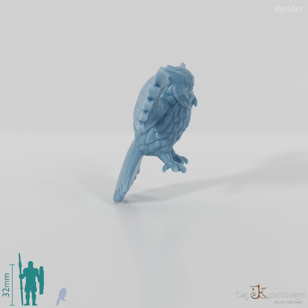 Owl - Owl 02