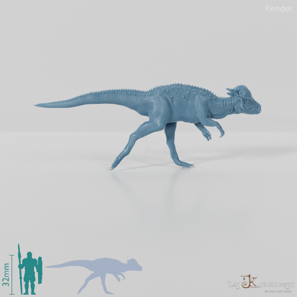 Pachycephalosaurus wyomingensis 04 - JJP