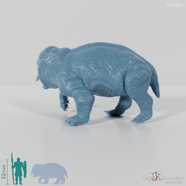 Placerias hesternus 03 - JJP