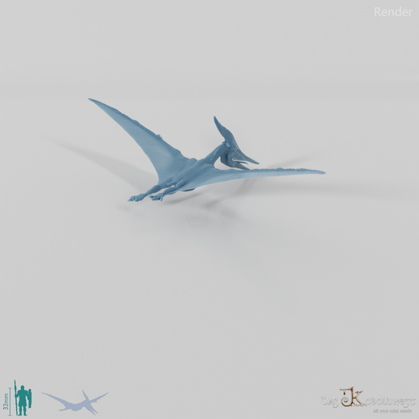 Pteranodon longiceps 01 - JJP