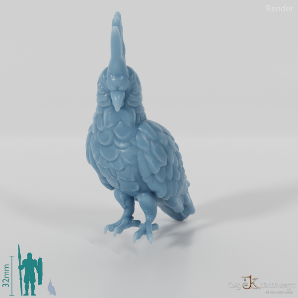 Parrot - Cockatoo 01