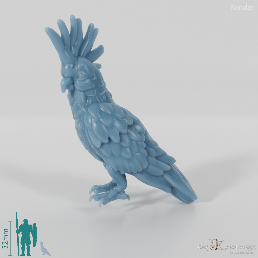 Papagei - Kakadu 01
