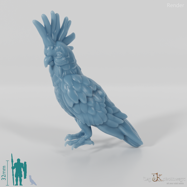 Parrot - Cockatoo 01