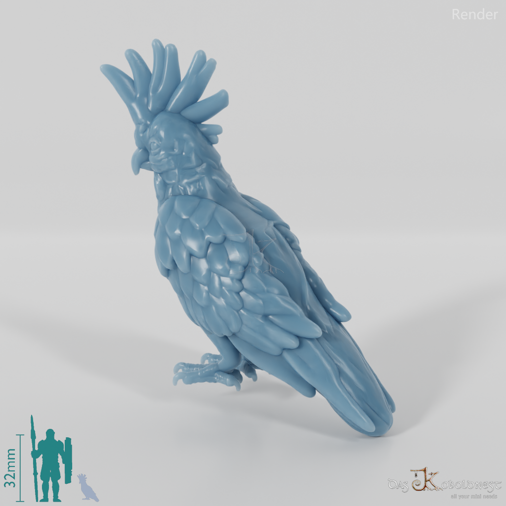 Parrot - Cockatoo 01