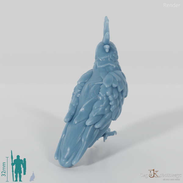 Parrot - Cockatoo 01