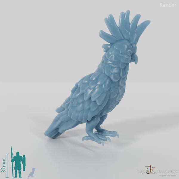 Parrot - Cockatoo 01