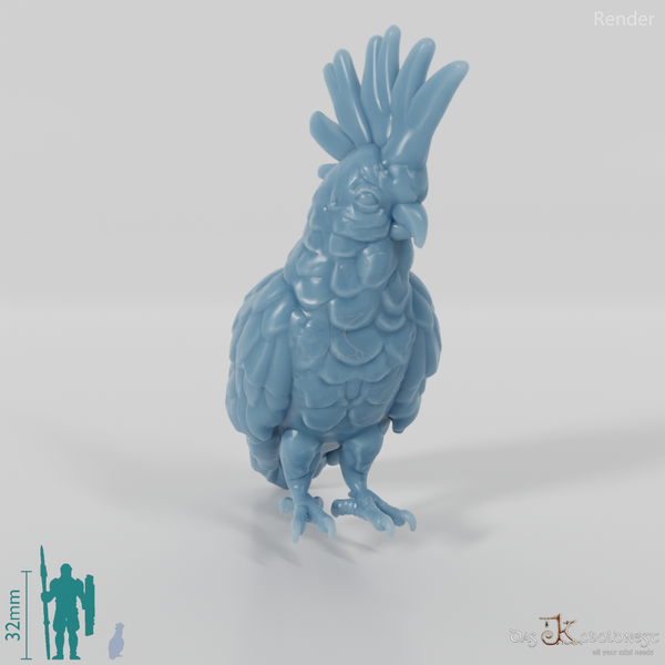 Parrot - Cockatoo 01