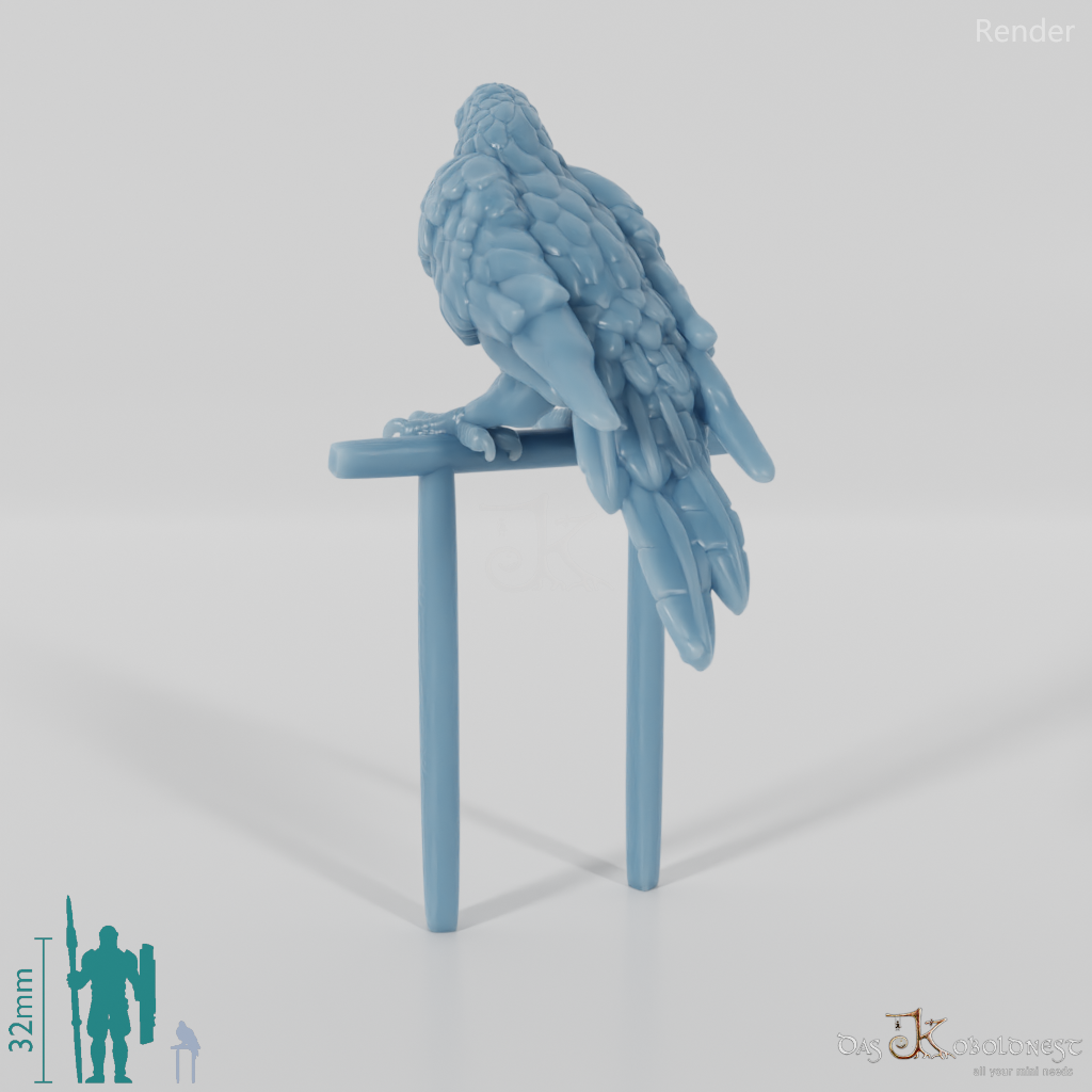 Papagei - Papagei 02 mit Sitzstange