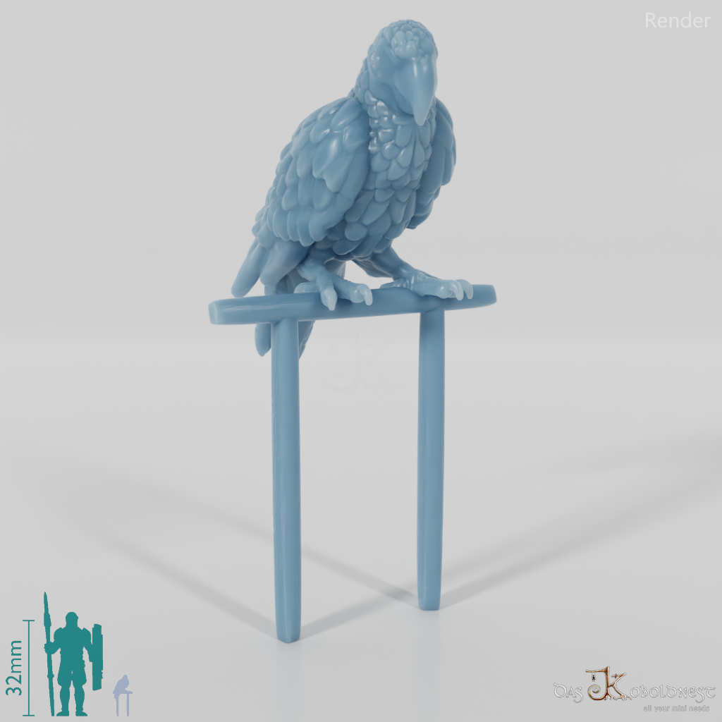 Papagei - Papagei 02 mit Sitzstange