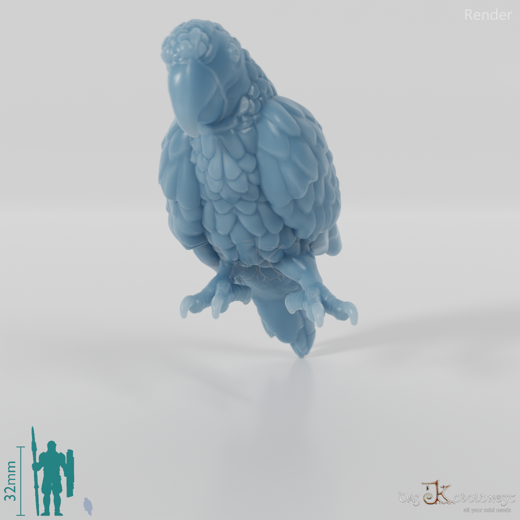 Parrot - Parrot 02