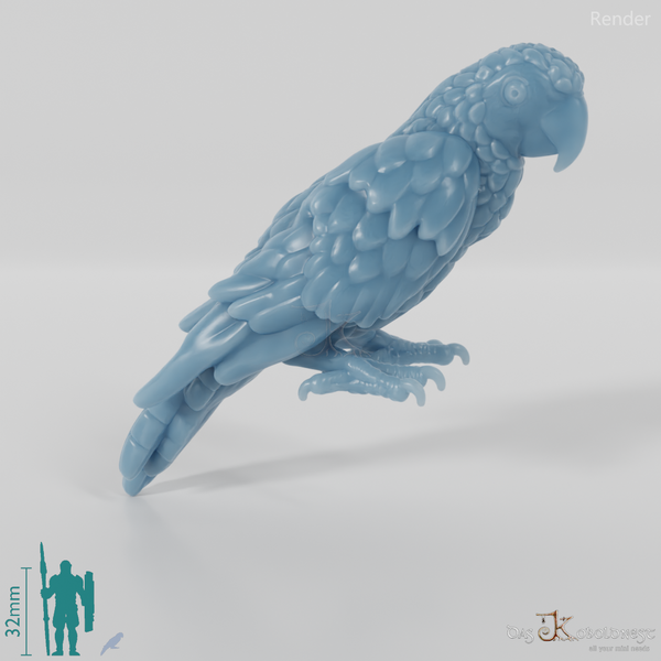 Parrot - Parrot 02