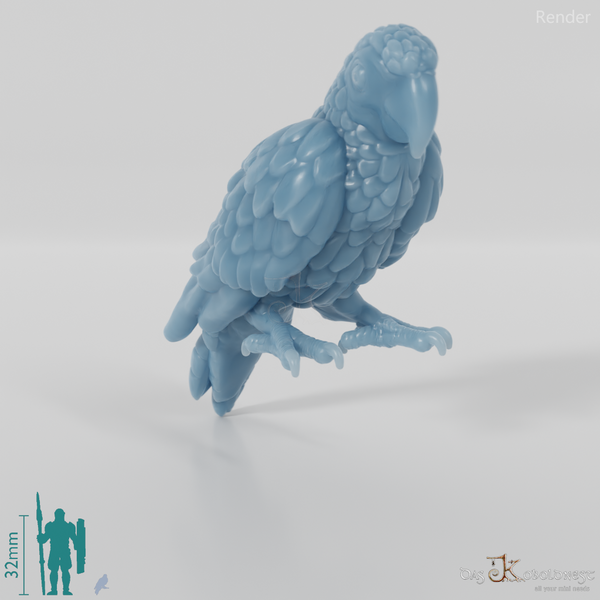 Parrot - Parrot 02