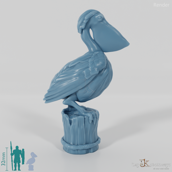 Bird - Pelican on wooden pillar