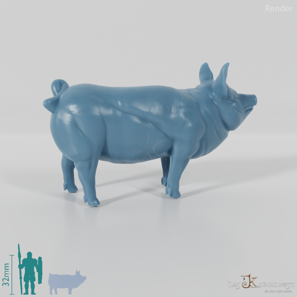 Hausschwein - Schwein 04