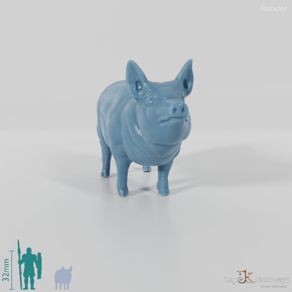 Hausschwein - Schwein 04