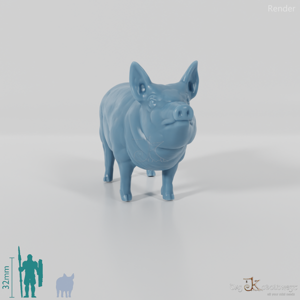 Hausschwein - Schwein 04