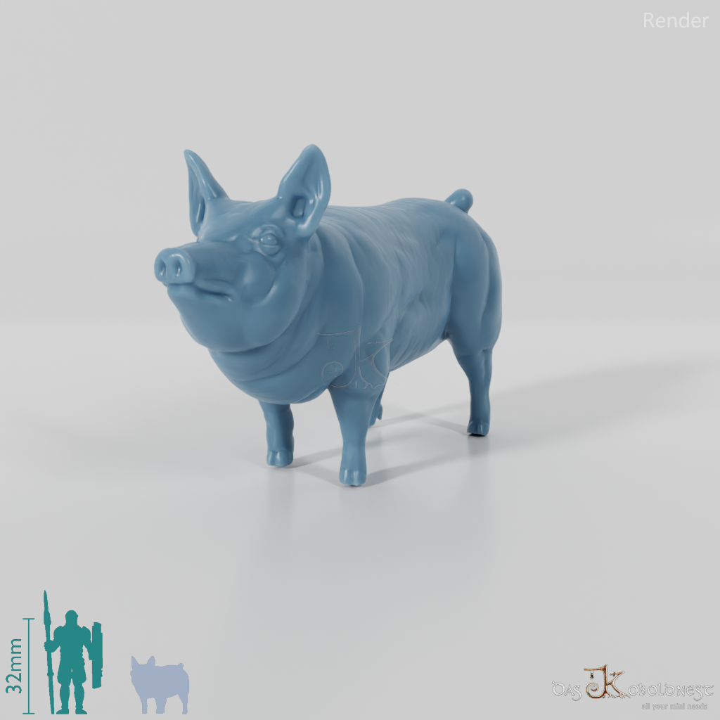 Hausschwein - Schwein 04