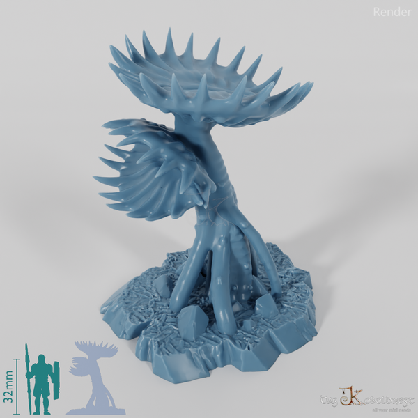 Große Venusfliegenfalle