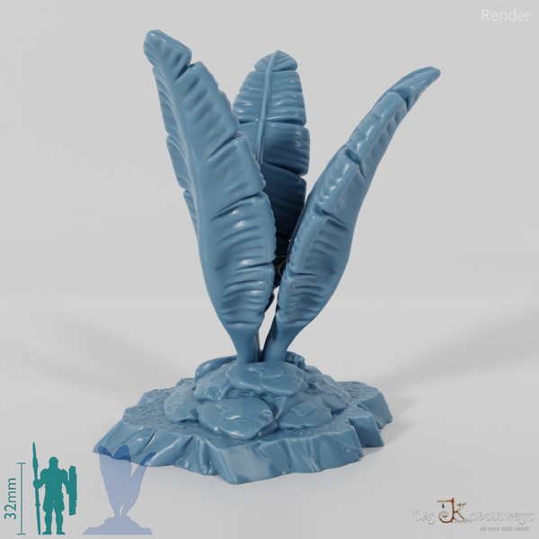 Tropical giant ferns