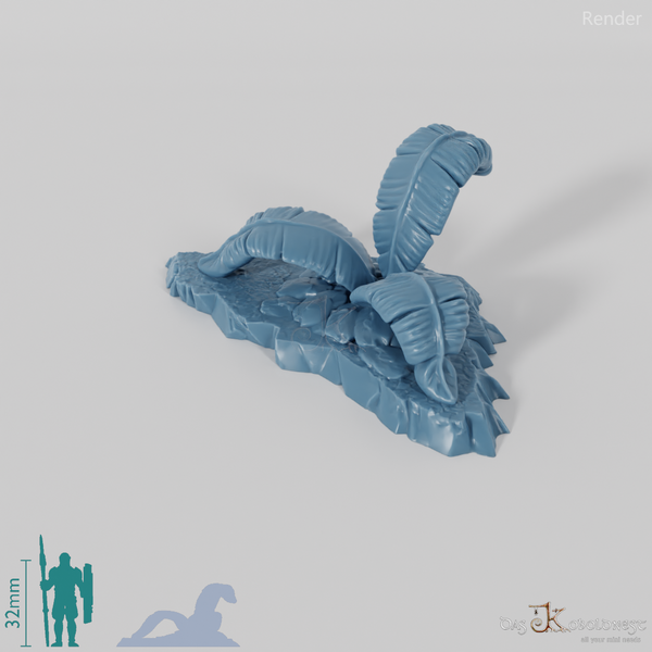 Tropical giant ferns