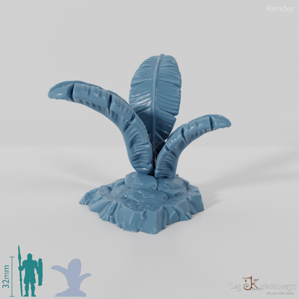 Tropical giant ferns