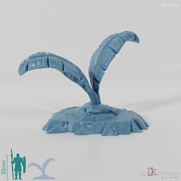 Tropical giant ferns