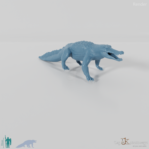 Quinkana fortirostrum 02 - JJP